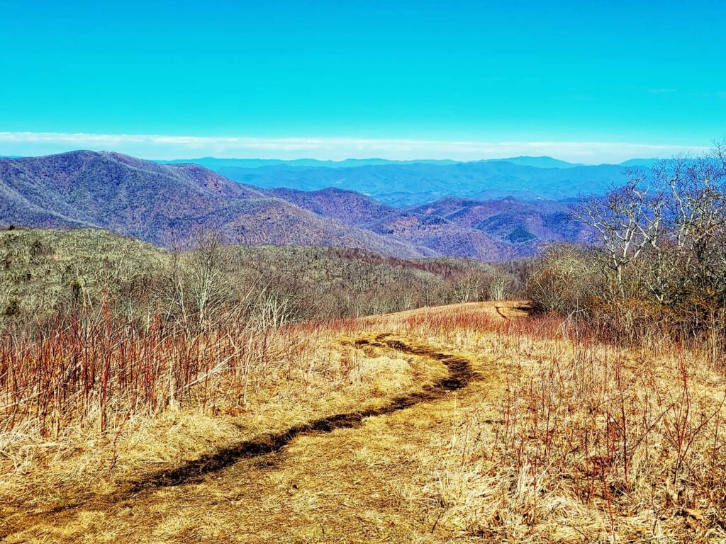 img 20210221 162953 478